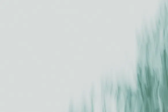 Kazino Wild Tornado Atbalsts